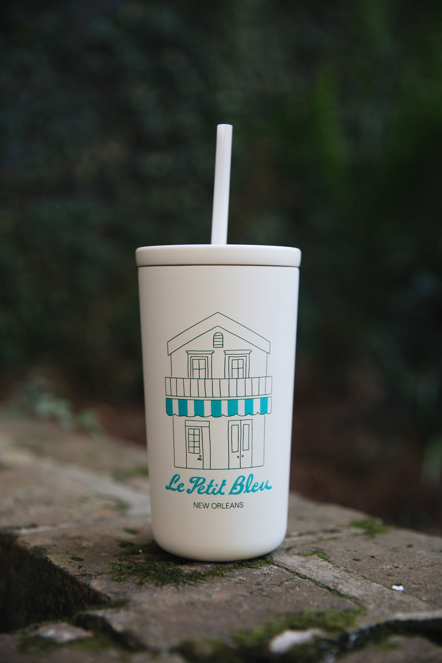Bonjour Y'all Cold Cup (16oz)