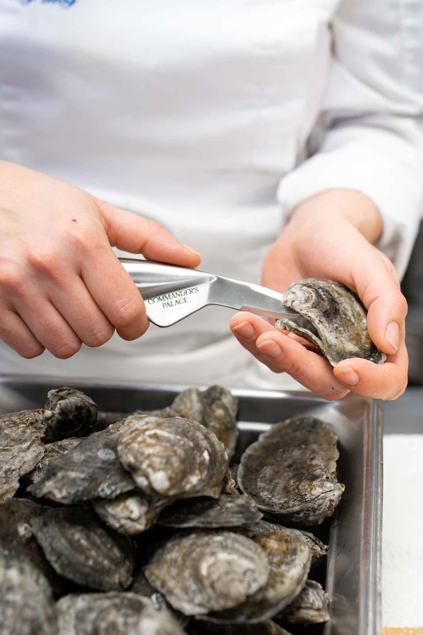 Engraved Oyster Knife